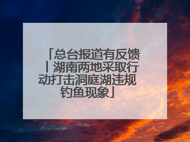 总台报道有反馈丨湖南两地采取行动打击洞庭湖违规钓鱼现象