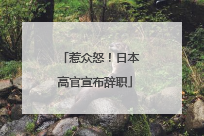 惹众怒！日本高官宣布辞职