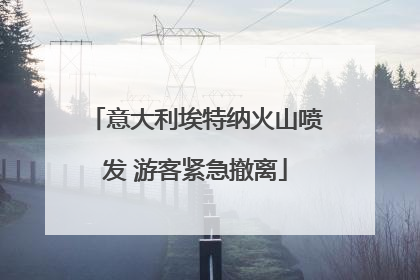 意大利埃特纳火山喷发 游客紧急撤离
