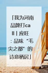 我为河南品牌打call丨应旺：品味“毛尖之都”的诗意栖居
