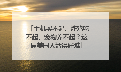手机买不起、炸鸡吃不起、宠物养不起？这届美国人活得好难