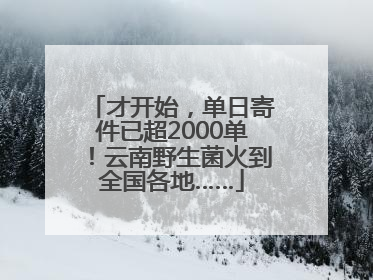 才开始，单日寄件已超2000单！云南野生菌火到全国各地……