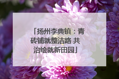 扬州李典镇：青砖铺就整洁路 共治绘就新田园