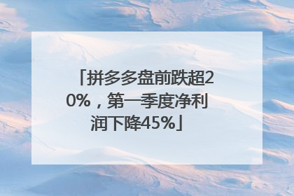 拼多多盘前跌超20%，第一季度净利润下降45%