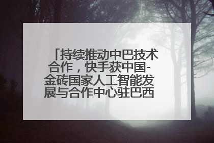 持续推动中巴技术合作，快手获中国-金砖国家人工智能发展与合作中心驻巴西成果转化中心授牌