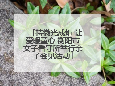 持微光成炬 让爱暖童心 衡阳市女子看守所举行亲子会见活动