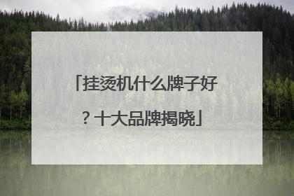 挂烫机什么牌子好？十大品牌揭晓