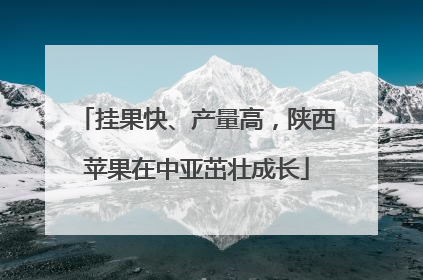 挂果快、产量高，陕西苹果在中亚茁壮成长