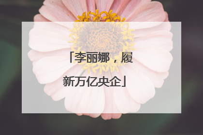 李丽娜，履新万亿央企