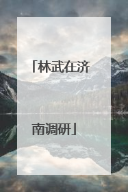 林武在济南调研