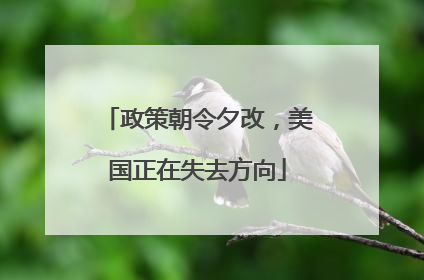 政策朝令夕改，美国正在失去方向
