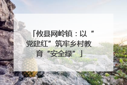 攸县网岭镇：以“党建红”筑牢乡村教育“安全绿”