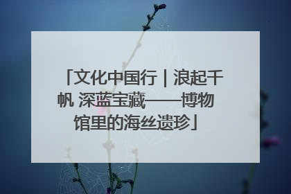 文化中国行｜浪起千帆 深蓝宝藏——博物馆里的海丝遗珍
