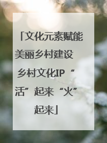 文化元素赋能美丽乡村建设 乡村文化IP“活”起来“火”起来