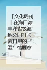 文化周刊丨在海口潭丰洋省级湿地公园打卡夏日里的“湿”情画意