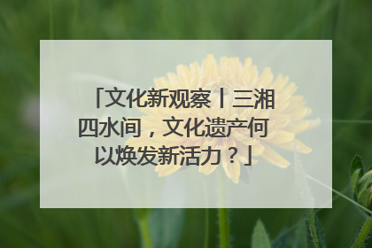 文化新观察丨三湘四水间，文化遗产何以焕发新活力？