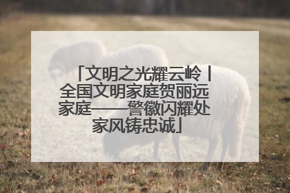 文明之光耀云岭丨全国文明家庭贺丽远家庭——警徽闪耀处 家风铸忠诚