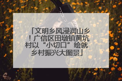 文明乡风浸润山乡！广信区田墩镇黄坑村以“小切口”绘就乡村振兴大图景