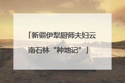 新疆伊犁厨师夫妇云南石林“种地记”