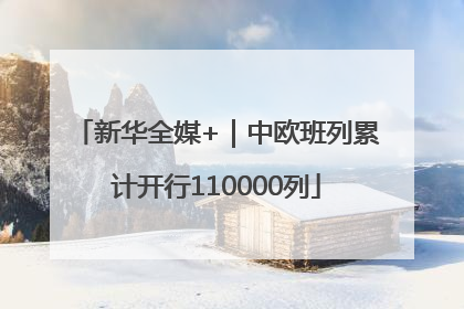 新华全媒+｜中欧班列累计开行110000列