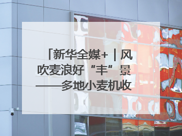 新华全媒+｜风吹麦浪好“丰”景——多地小麦机收一线见闻