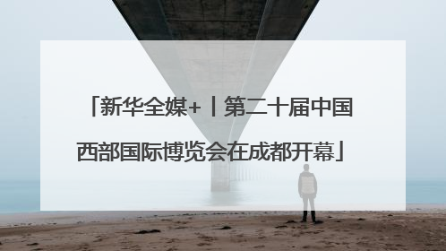 新华全媒+丨第二十届中国西部国际博览会在成都开幕