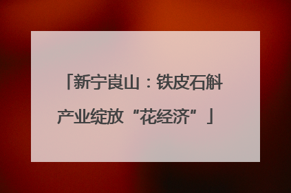 新宁崀山：铁皮石斛产业绽放“花经济”