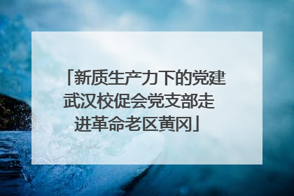 新质生产力下的党建 武汉校促会党支部走进革命老区黄冈
