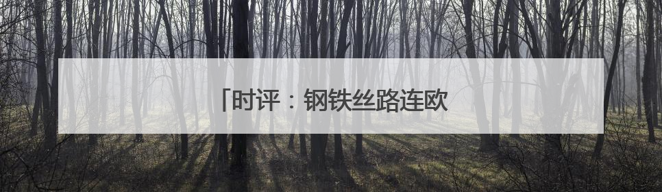 时评：钢铁丝路连欧亚，班列飞驰启新程