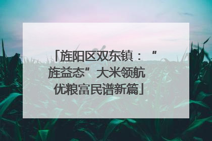 旌阳区双东镇：“旌益态”大米领航 优粮富民谱新篇