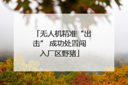 无人机精准“出击” 成功处置闯入厂区野猪