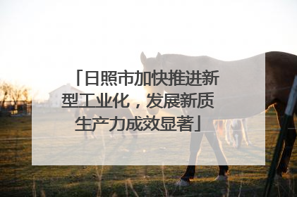 日照市加快推进新型工业化，发展新质生产力成效显著