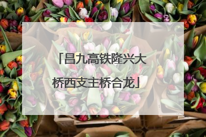 昌九高铁隆兴大桥西支主桥合龙