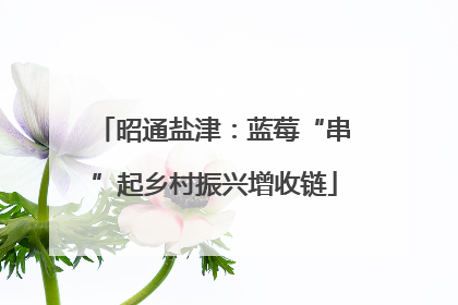 昭通盐津：蓝莓“串”起乡村振兴增收链