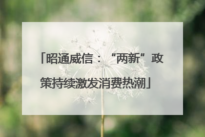 昭通威信：“两新”政策持续激发消费热潮
