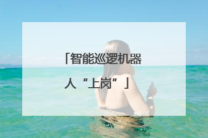 智能巡逻机器人“上岗”