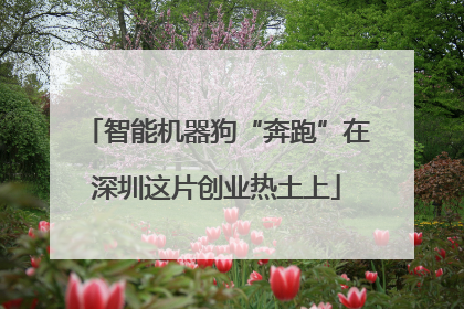 智能机器狗“奔跑”在深圳这片创业热土上