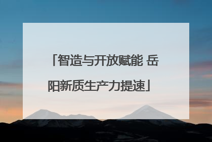 智造与开放赋能 岳阳新质生产力提速