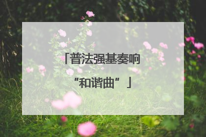 普法强基奏响“和谐曲”