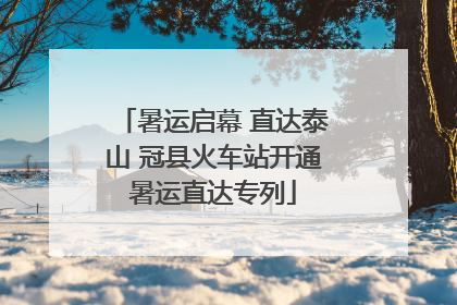 暑运启幕 直达泰山 冠县火车站开通暑运直达专列