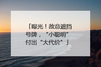 曝光！故意遮挡号牌，“小聪明”付出“大代价”
