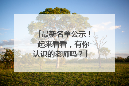 最新名单公示！一起来看看，有你认识的老师吗？