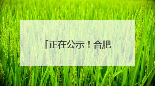 正在公示！合肥市2027年前实现2000年底前建成的城镇老旧小区“应改尽改”