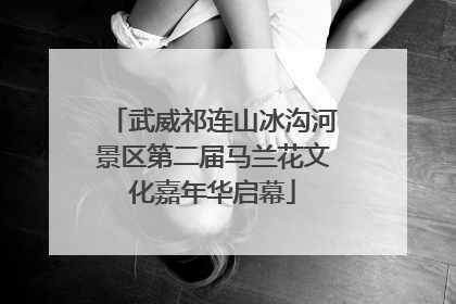 武威祁连山冰沟河景区第二届马兰花文化嘉年华启幕