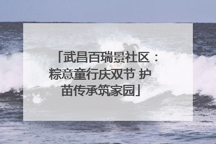 武昌百瑞景社区：粽意童行庆双节 护苗传承筑家园