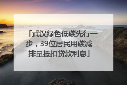 武汉绿色低碳先行一步，39位居民用碳减排量抵扣贷款利息