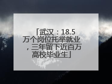 武汉：18.5万个岗位托举就业，三年留下近百万高校毕业生