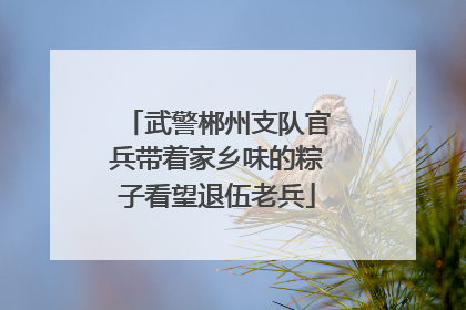 武警郴州支队官兵带着家乡味的粽子看望退伍老兵