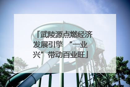 武陵源点燃经济发展引擎 “一业兴”带动百业旺