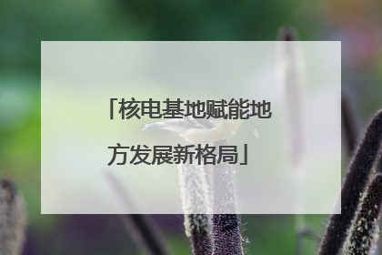 核电基地赋能地方发展新格局